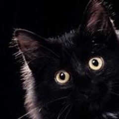Cedric