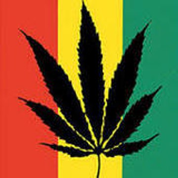 rasta7755