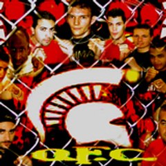 olympic fighter