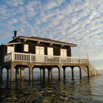 pruneau_a_l_armagnac