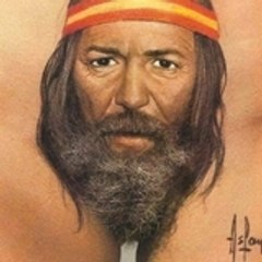 jacquaranda