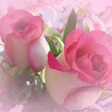 rosal-va
