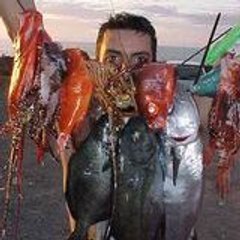 mekouas