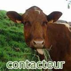 CONTACTEUR