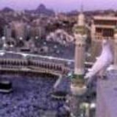 imane77