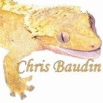 chris baudin