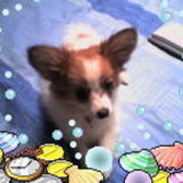 flogin