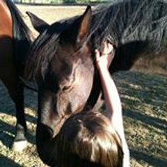 Sandrine van Hauwaert