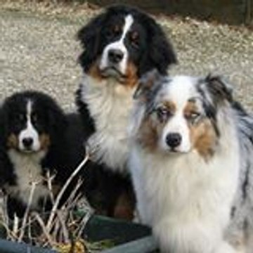 ARQUILLIERE NATHALIE