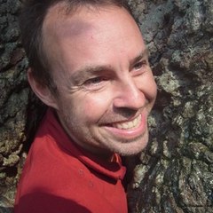Géobiologie et coévolution quantique