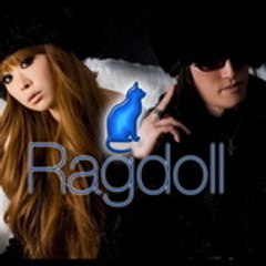 Ragdoll