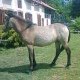 x--mariinou-x