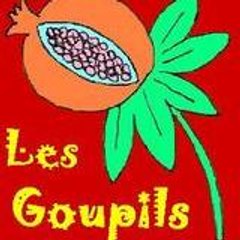 lesgoupils33