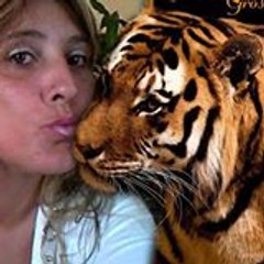 PATICRIS