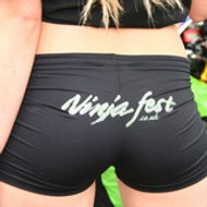 taz taz diable de tasmanie