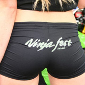 taz taz diable de tasmanie