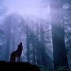 ad - sad wolf