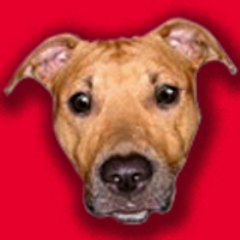 APBT