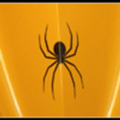 spyder4ever