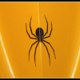 spyder4ever