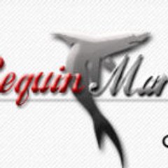 Le Requin Marteau