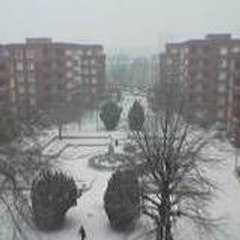 mesrine94