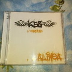 k5b-shino