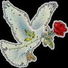 Ayse Tekin