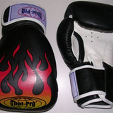 Fightsports