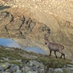 piloumontagne