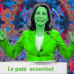 ds001net