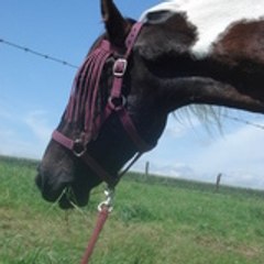 adeline1206