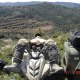 quad87