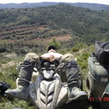 quad87
