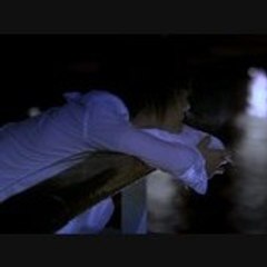 Shane In Love