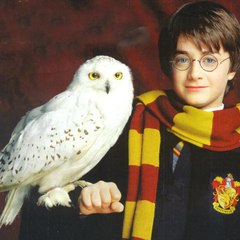 Univers Harry Potter