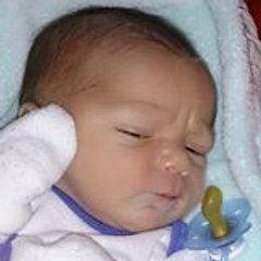 Weedo31