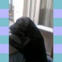 sherazou