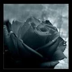 turkich_bollystar