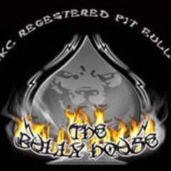 ...bull...