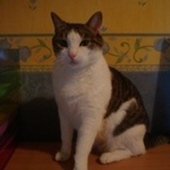 lilou_37