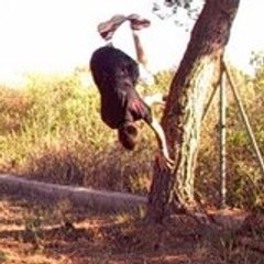 satik