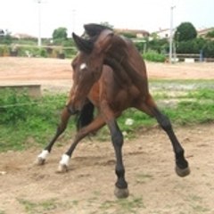 mordududada