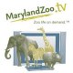 marylandzootv