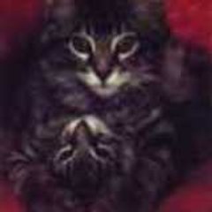 kittyk95