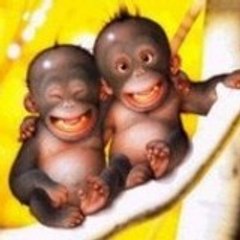 Choupinette Marinette