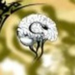 jim_maister