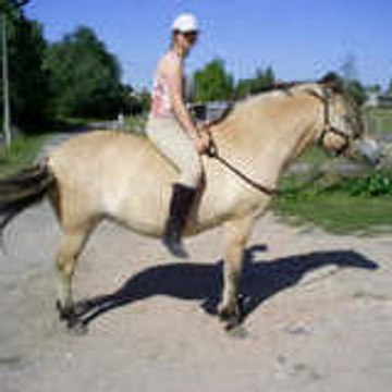 Choudu95