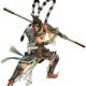 nico-wushu