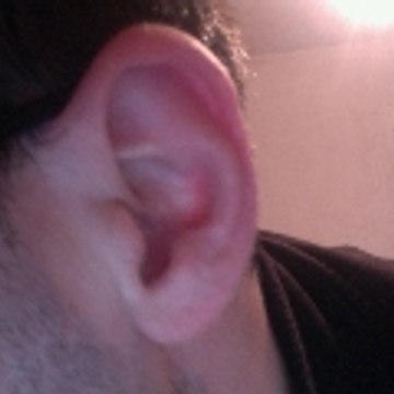 dROMERA11